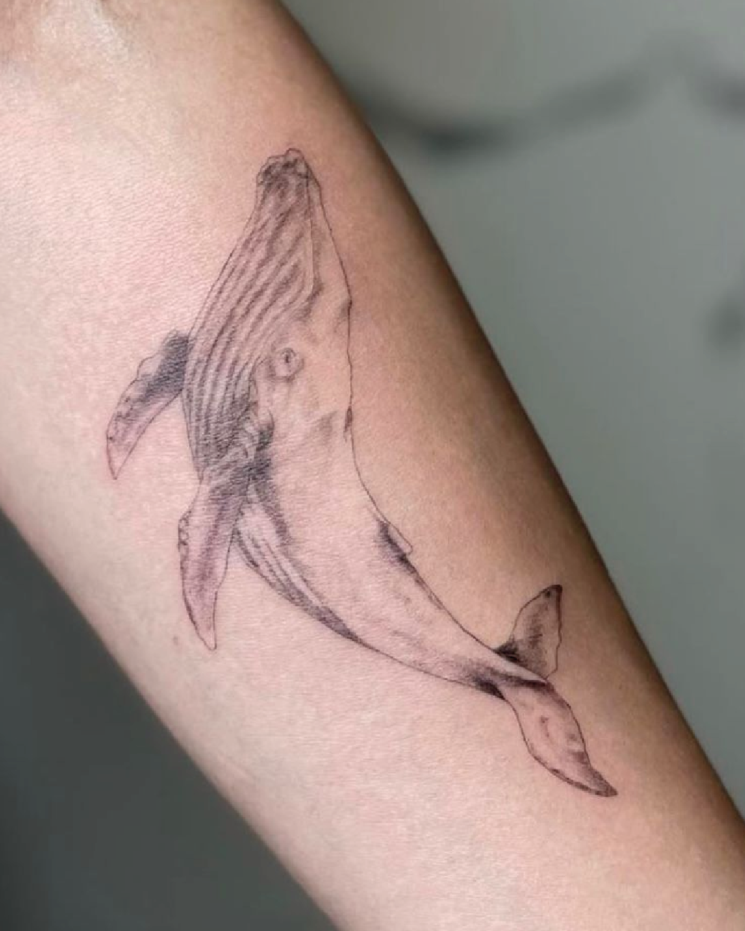 Fineline tattoo Madrid. estudio de tattoo madrid, estdio de tattoo cerca de mi, estudio de tattoo las rosas, dolores tattoo Madrid