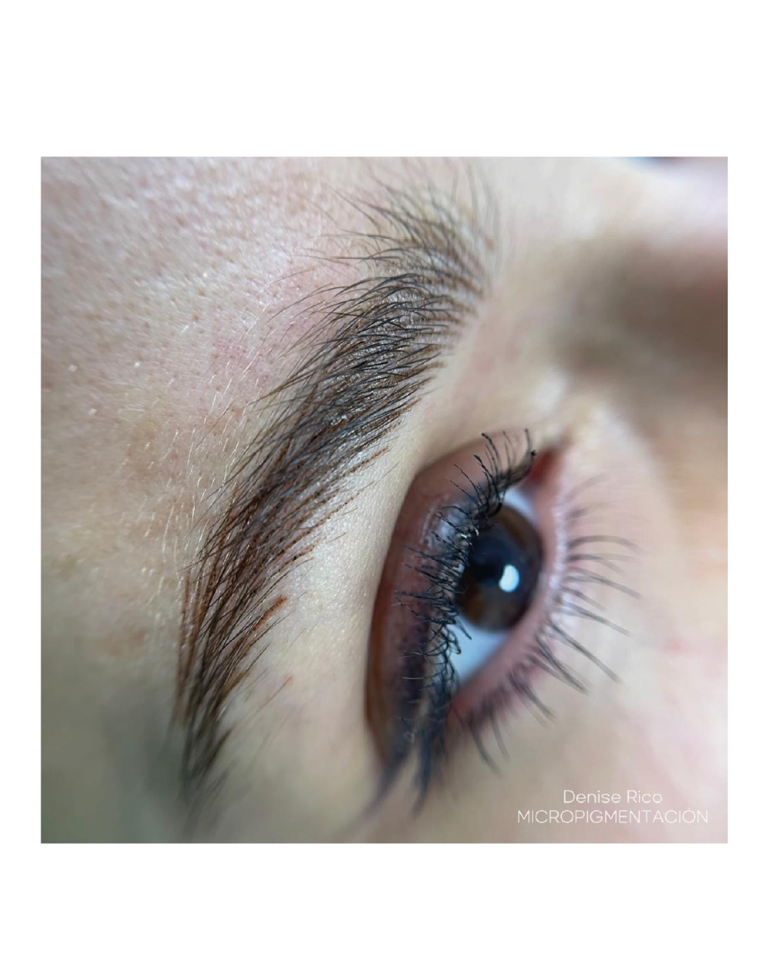 Micropigmentación Madrid